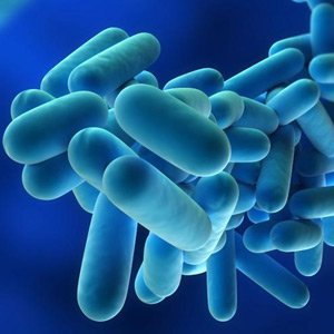 Legionella testing by ELP Scientific